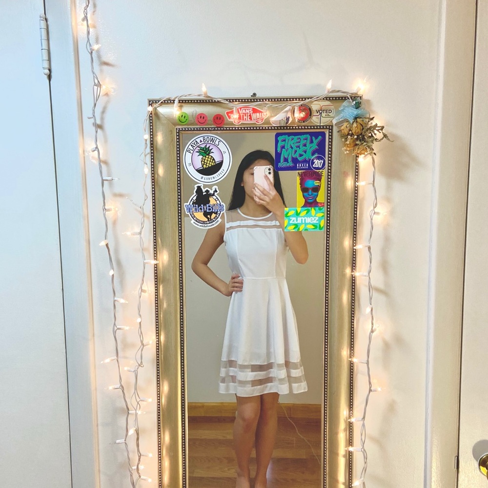 mesh skater dress w/ crew neck